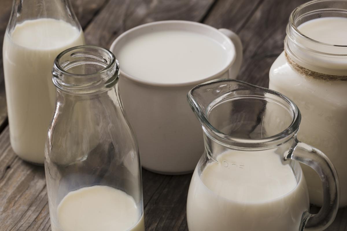 Сельхозорганизации и КФХ Тамбовской области за сутки получили 323 т молока