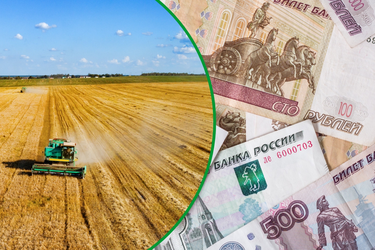 Аграрии Калмыкии получили из федерального бюджета более 22 млн руб.