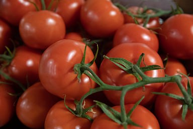 Распределена тарифная льгота на беспошлинный ввоз 100 тыс. тонн томатов