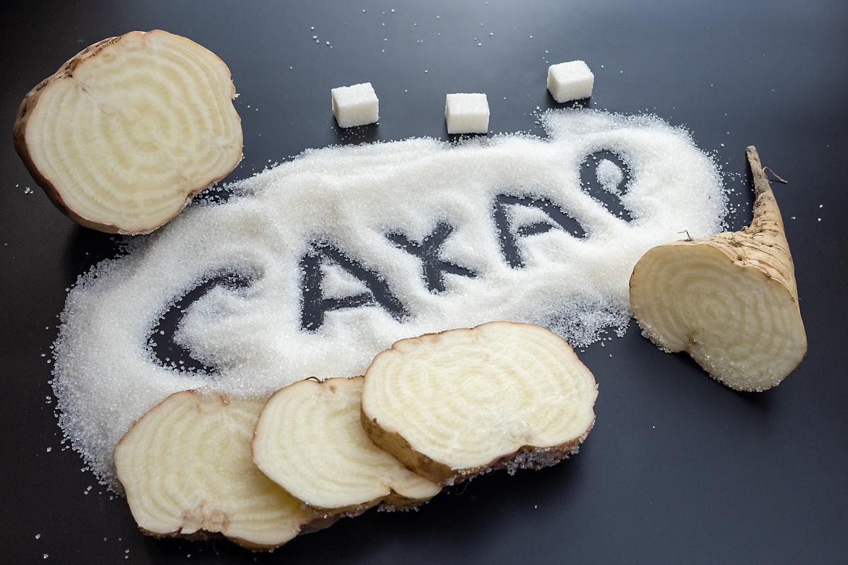 Правительство ввело временный запрет на экспорт сахара