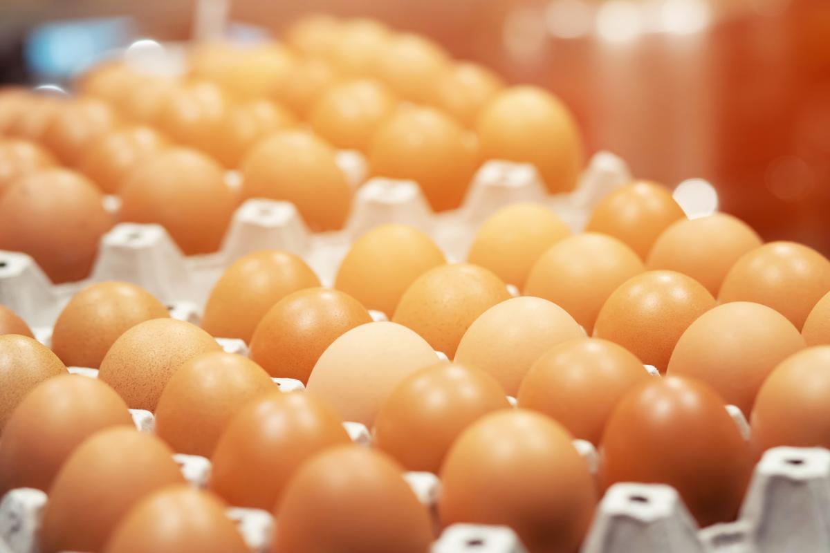В Хабаровском крае в 2024 году планируют увеличить выпуск куриных яиц на 40%