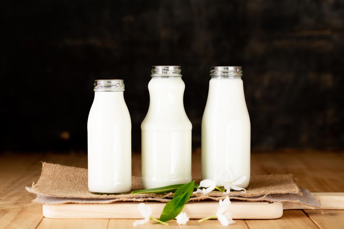 Мордовские сельхозорганизации и КФХ нарастили выпуск молока на 6,9% за 3 месяца