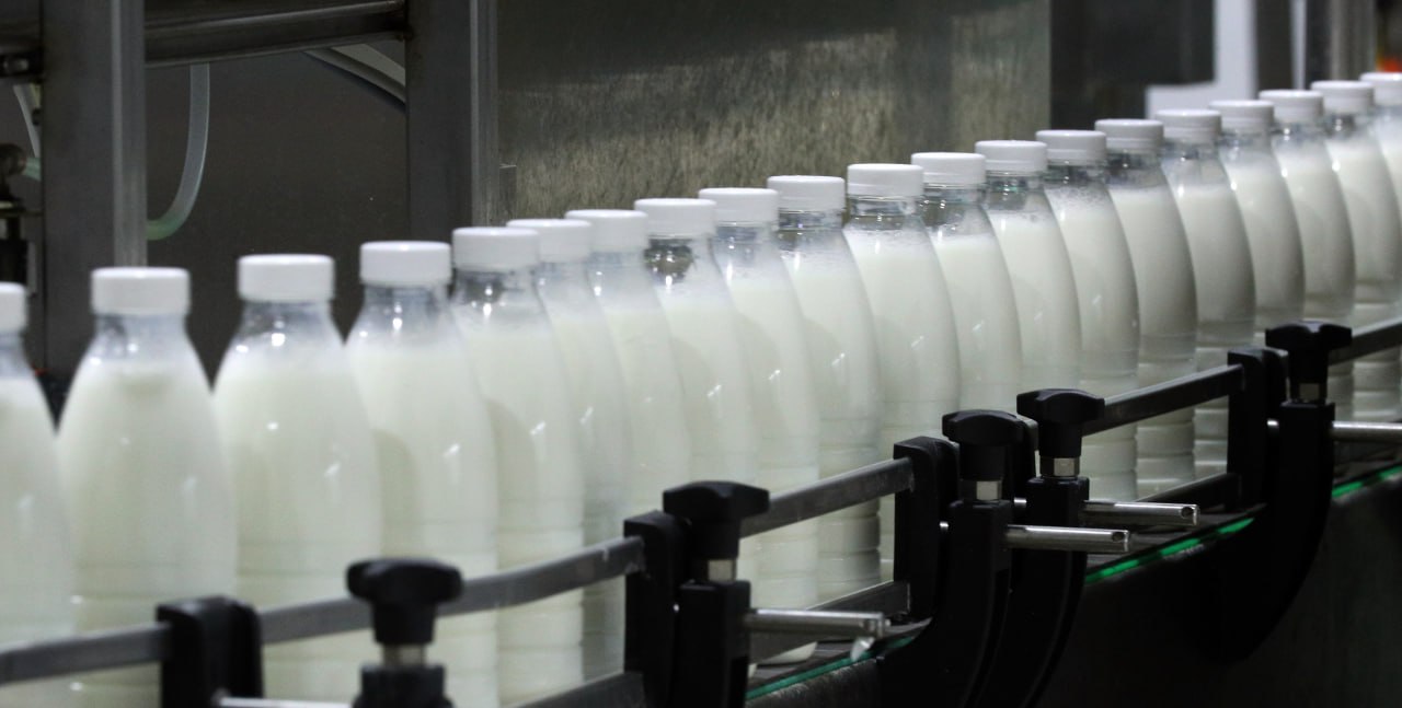 Объём реализации молока в сельхозорганизациях вырос на 3,6%