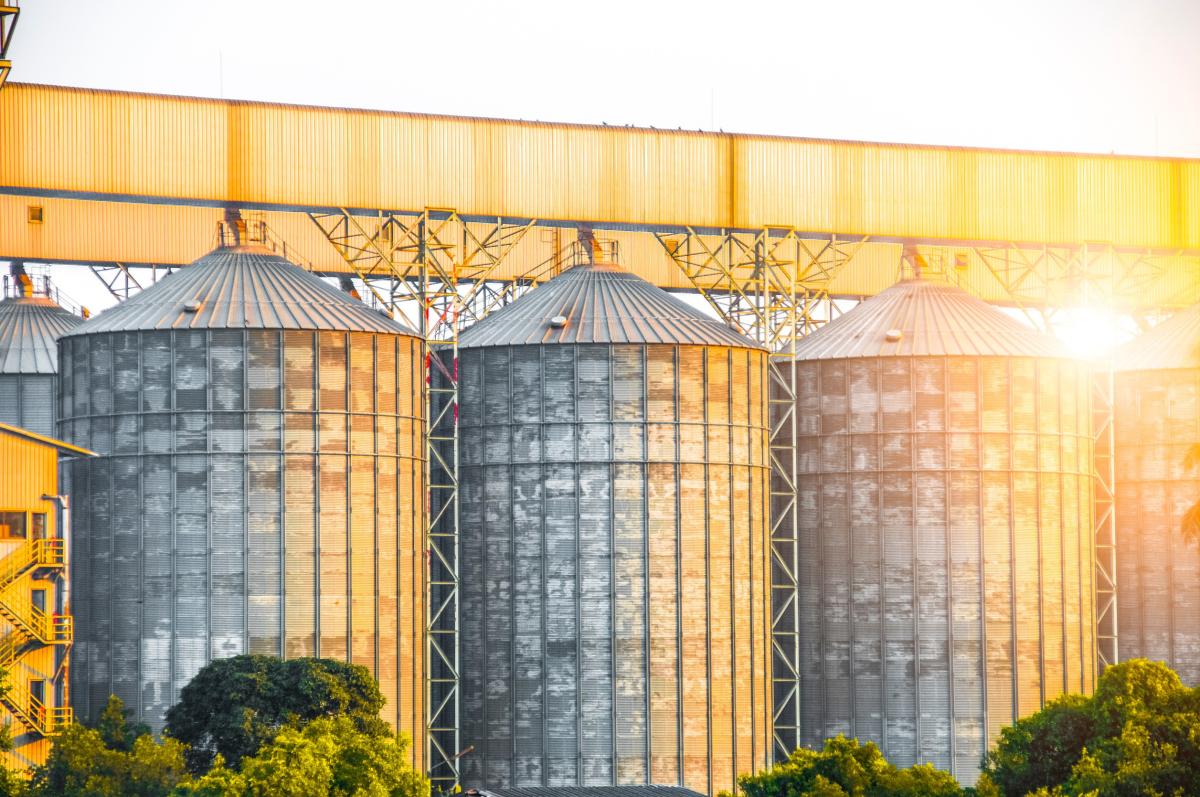 Кабмин дополнительно выделит 7 млрд руб. на увеличение запасов зерна в госфонде
