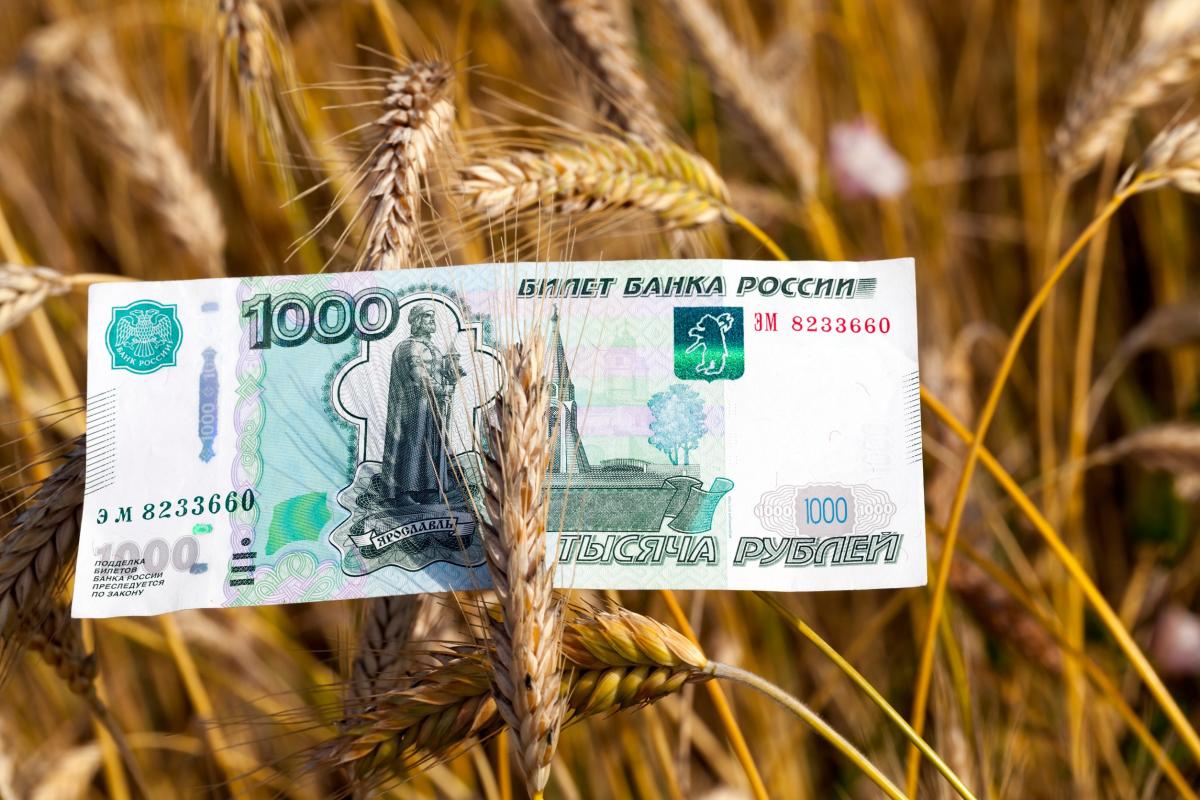 В Минсельхозе России заявили о готовности к корректировке экспортной пошлины на зерно