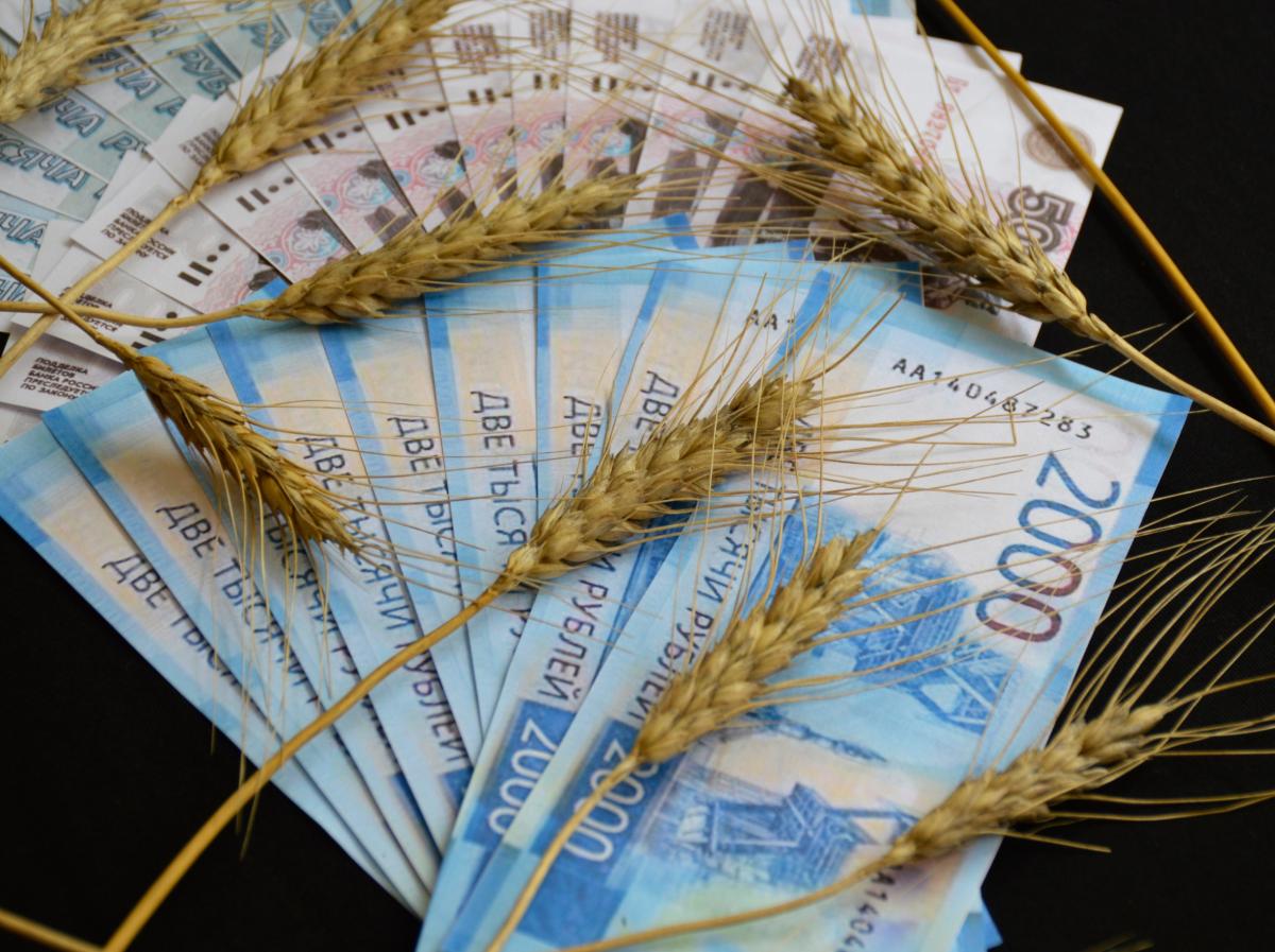 В России растут цены на пшеницу на внутреннем рынке и в портах 