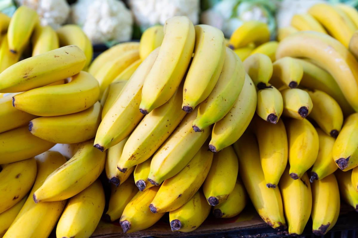 Поставки бананов в РФ в январе — феврале выросли на 2,1% — Россельхознадзор 