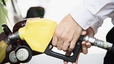 Обзор потребительских цен на топливо в Рязанской области