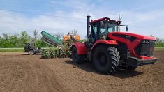 Аграрии Саратовской области посеяли 82% запланированных площадей твердой пшеницы 