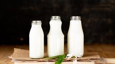 Мордовские сельхозорганизации и КФХ нарастили выпуск молока на 6,9% за 3 месяца