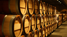 В первом квартале 2024 года выросло производство винодельческой продукции