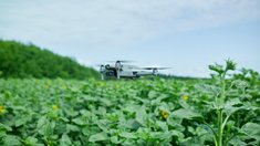 Применение новейших технологий изменит ведение сельского хозяйства — «Российская газета»
