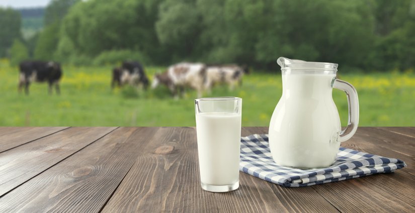 В Башкортостане производство товарного молока за 5 лет увеличилось на 10 %