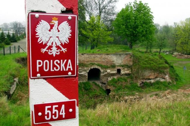 Польша отгородится забором от чумных кабанов из Украины и Белоруссии
