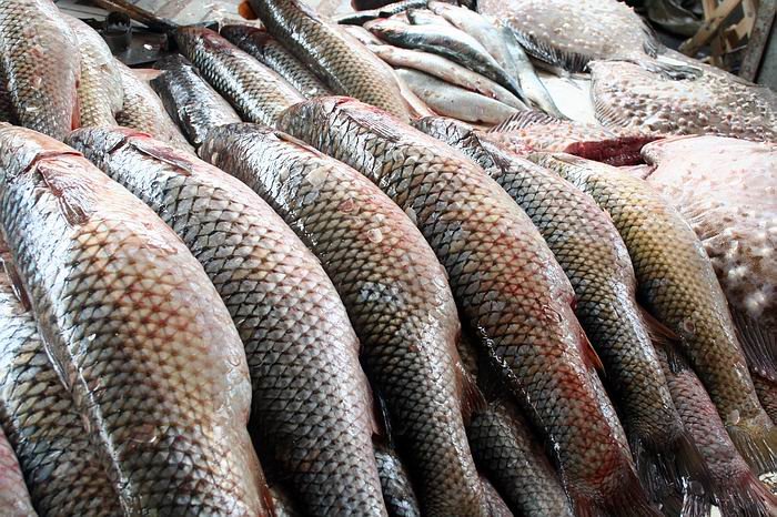 О ситуации с поставками рыбы из Белоруссии