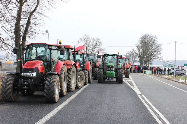 Польские фермеры бастуют: "Правительство ничего не делает с АЧС"