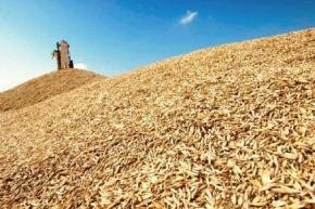 Четыре шага к зерносушильному комплексу: советы от ЗАО Агропромтехника