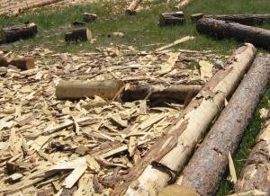 Нарушители наказаны за захламление земель древесными отходами