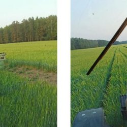 Российские ученые доказали пользу органического сельского хозяйства и качественное отличие органической продукции