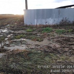 В Курской области 5 животноводческих ферм уличены в ветнарушениях