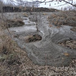 Яма с биоотходами и залитые навозной жижей земли выявили экологи в Солнцевском районе Курской области