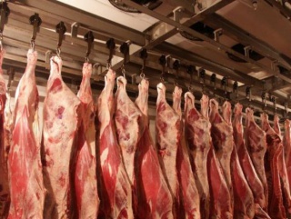На Алтае намерены инвестировать миллиарды в производство высококачественной говядины
