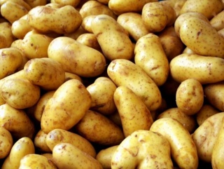 Увеличение цен на картофель в марте стало рекордным в России