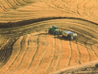 Система «no-till» сулит аграриям оздоровление почвы