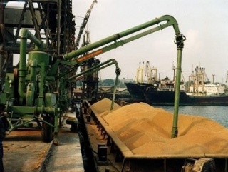 Экспорт российской пшеницы снизился вдвое под давлением пошлины