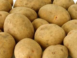 Правила поставок картофеля из Беларуси ужесточатся