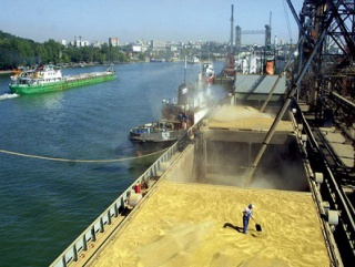 Российская пшеница – поставки в Турцию приостановлены