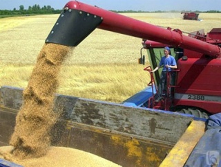 Аграрии Краснодара обновили десятилетний рекорд урожая зерновых