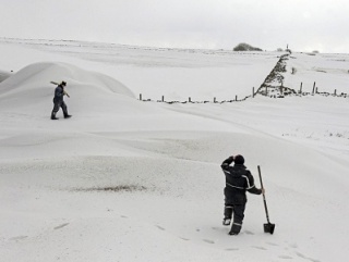 Снег укрыл посевы ростовских земледельцев