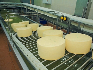 В Воронежской области открылся российско-датский завод по производству сыров