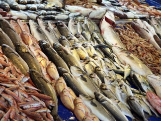 Рыбном Союз: санкции в отношении рыбной продукции из Турции не скажутся на российских потребителях.