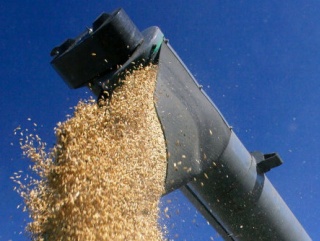 В Ставрополье собрали рекордный урожай зерна
