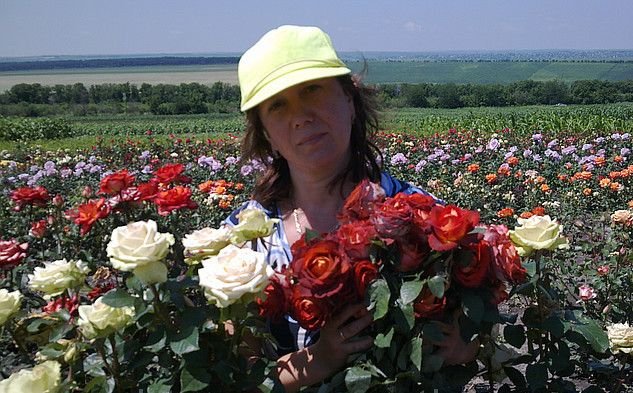 Саженцы роз Почтой,ТК, самовывозом из Домодедодово