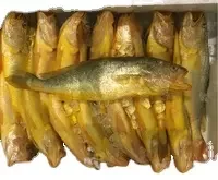 Freshly Frozen Yellow Croaker Fish