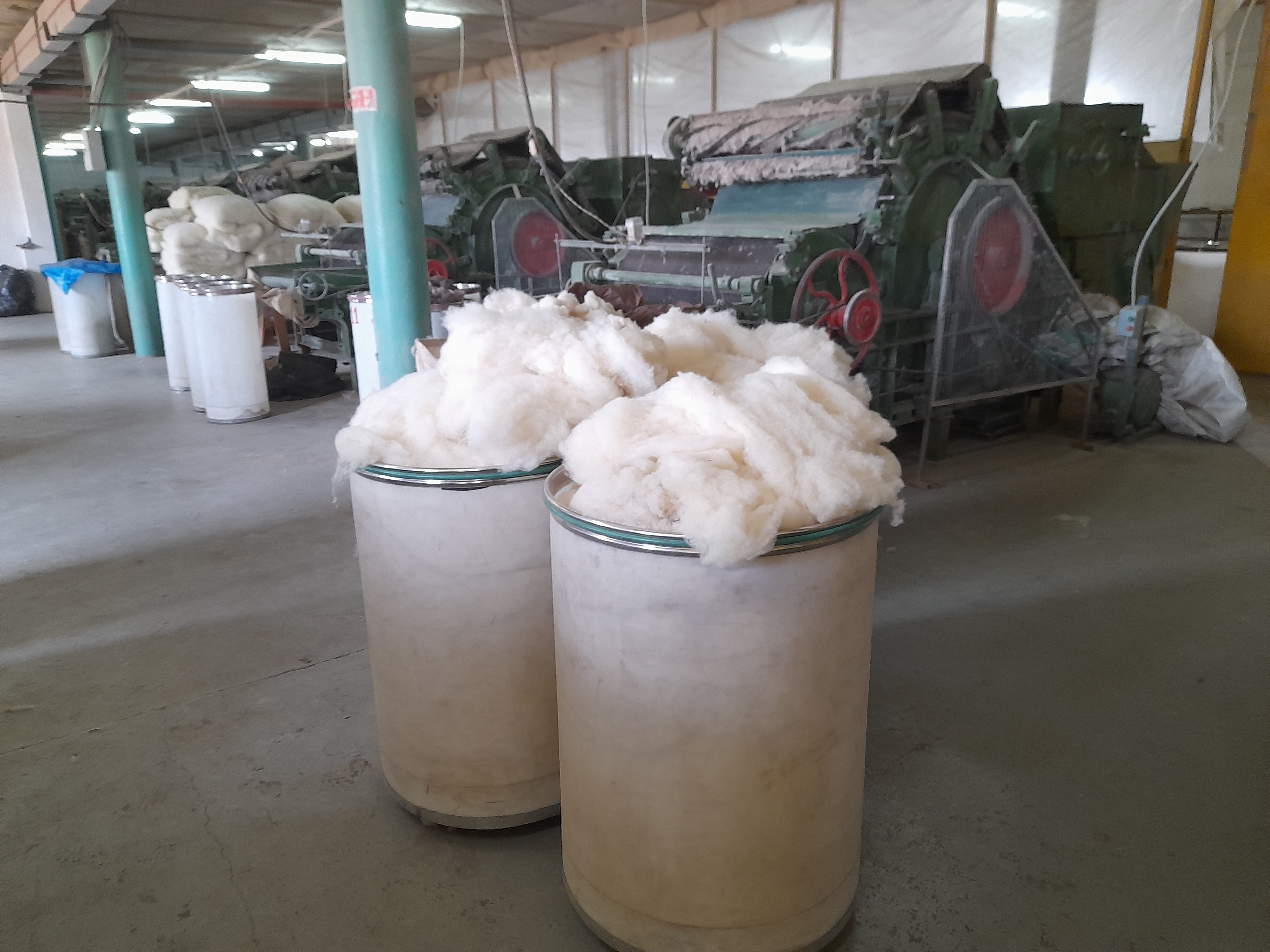 Производителям шерсти в Забайкалье направили на поддержку производства 16 млн рублей