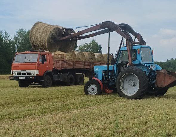 Животноводческие хозяйства Кузбасса заготовили 35% от необходимого объема кормов