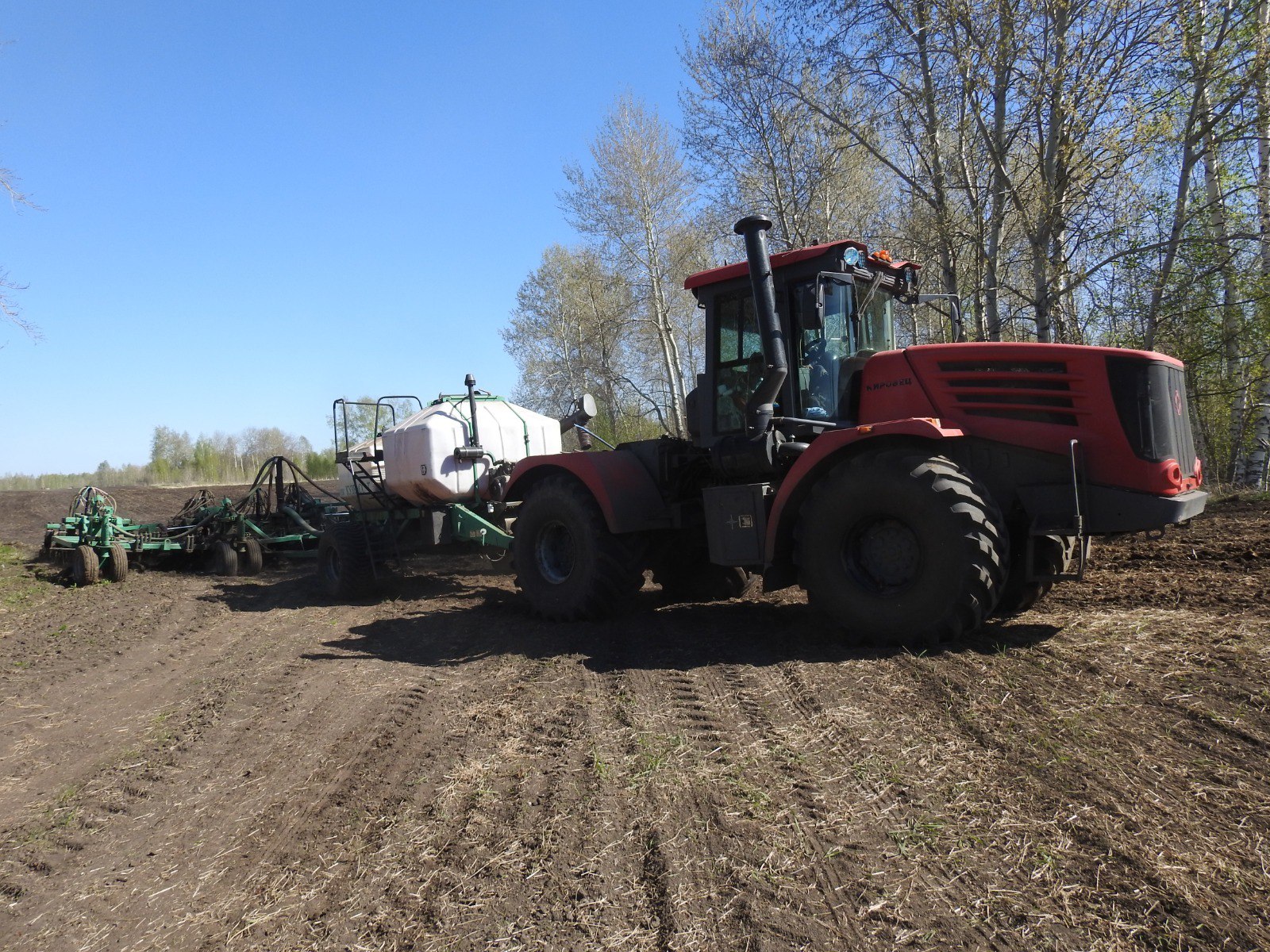 Сельхозпредприятия Томской области вводят в севооборот новые культуры