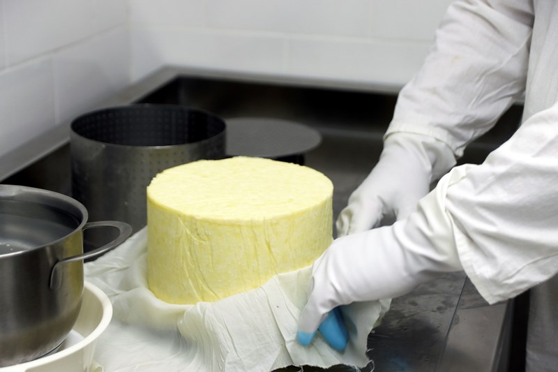 Благодаря нацпроекту «Малое и среднее предпринимательство» в Ивановской области создано более 130 новых фермерских хозяйств