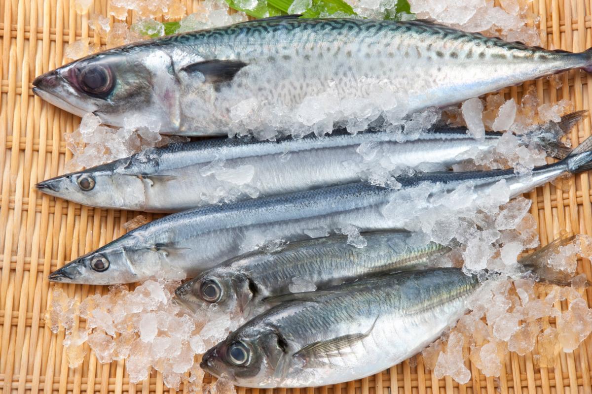 В РФ планируют расширить механизм субсидирования ж/д перевозок лососевых и сардины иваси 