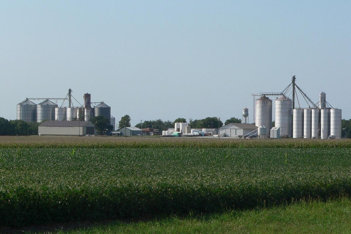 Около 13 млрд руб. будет инвестировано в АПК Чеченской Республики до 2030 года 