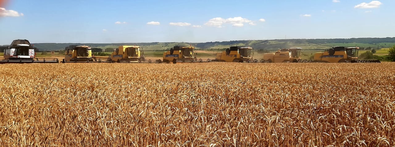 В рамках уборочной кампании в Татарстане обмолочено 82 тыс. га - 7% от плана