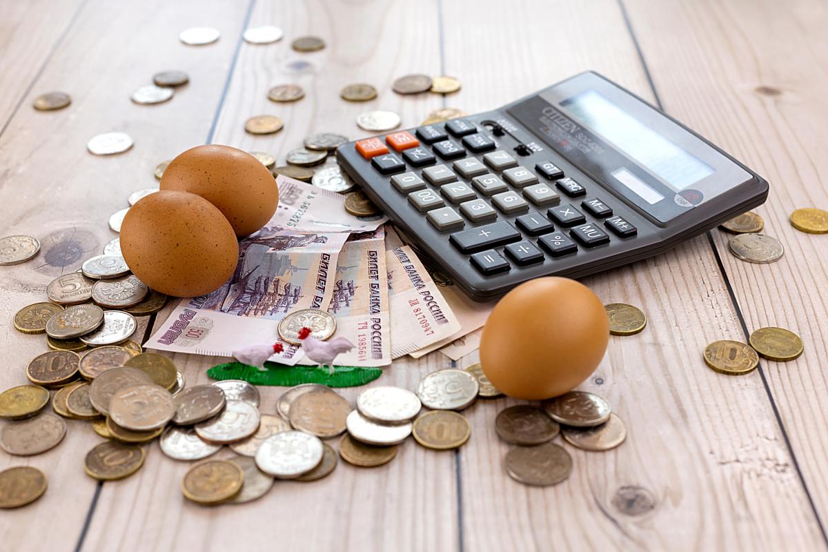 ФАС напомнила продавцам куриных яиц о запрете на необоснованное повышение цен