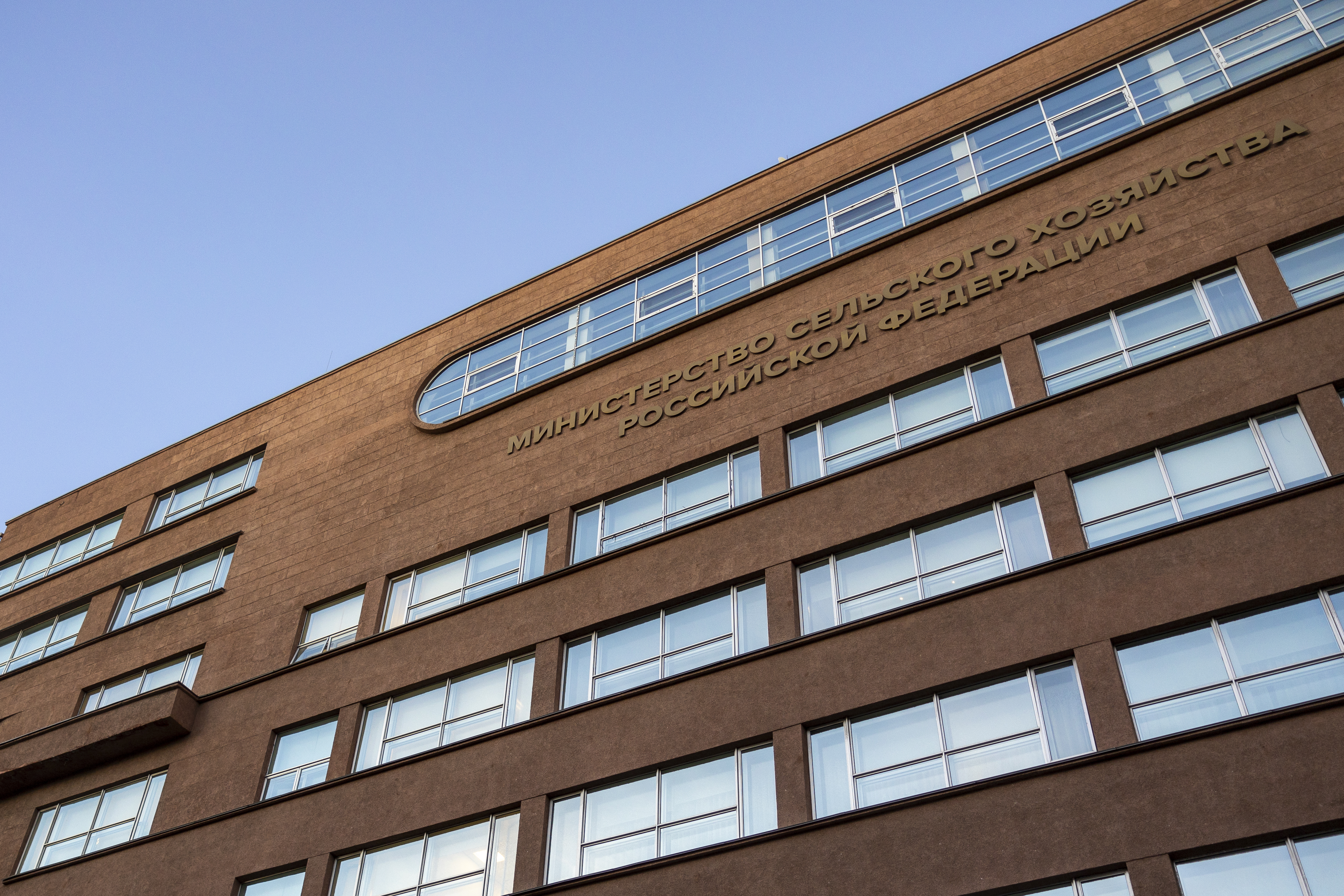 В Минсельхозе России обсудили меры контроля массовой миграции сайгаков на территорию страны