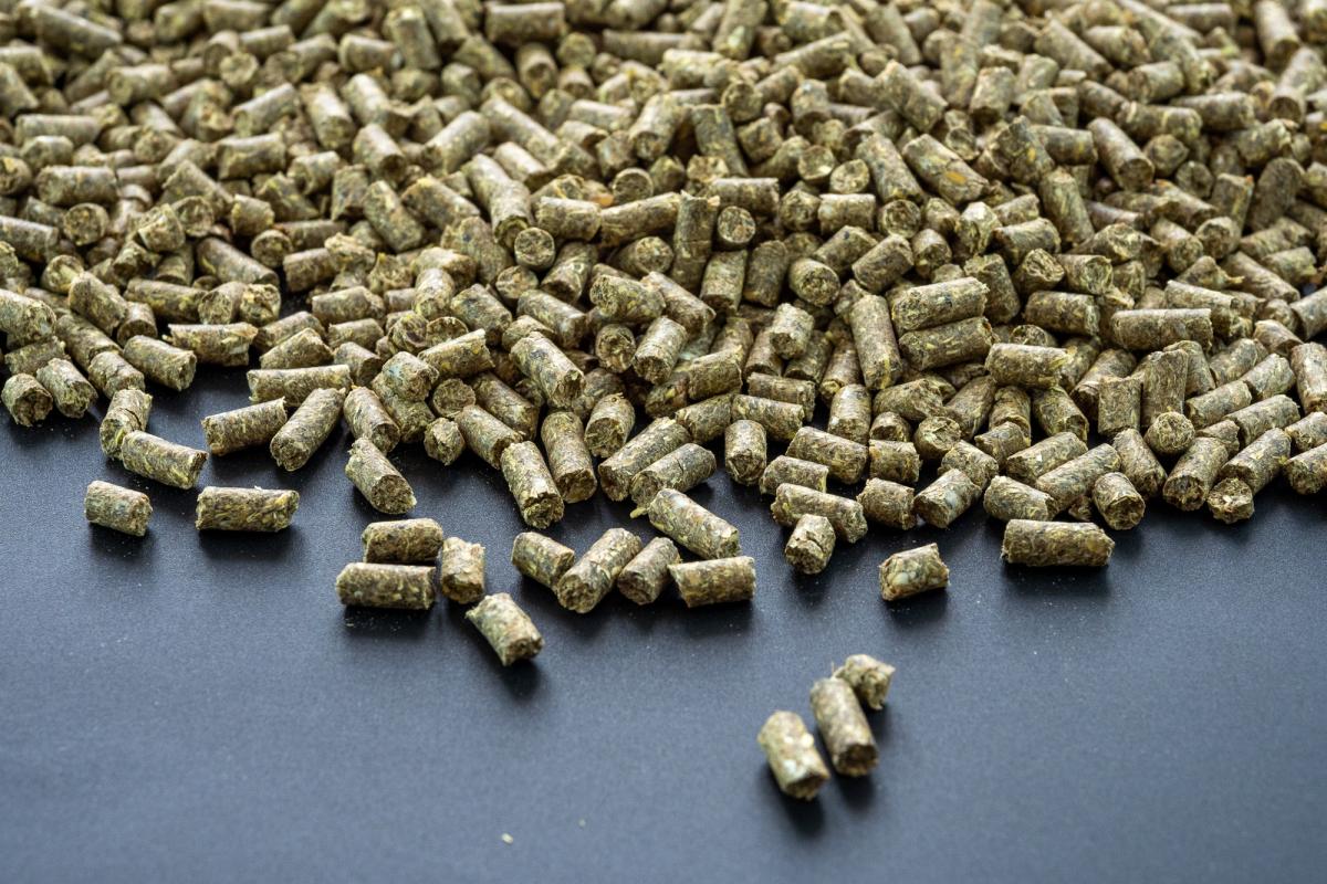 Цены на корма для сельхозживотных в 2023 году сохранятся на уровне прошлого года — производители