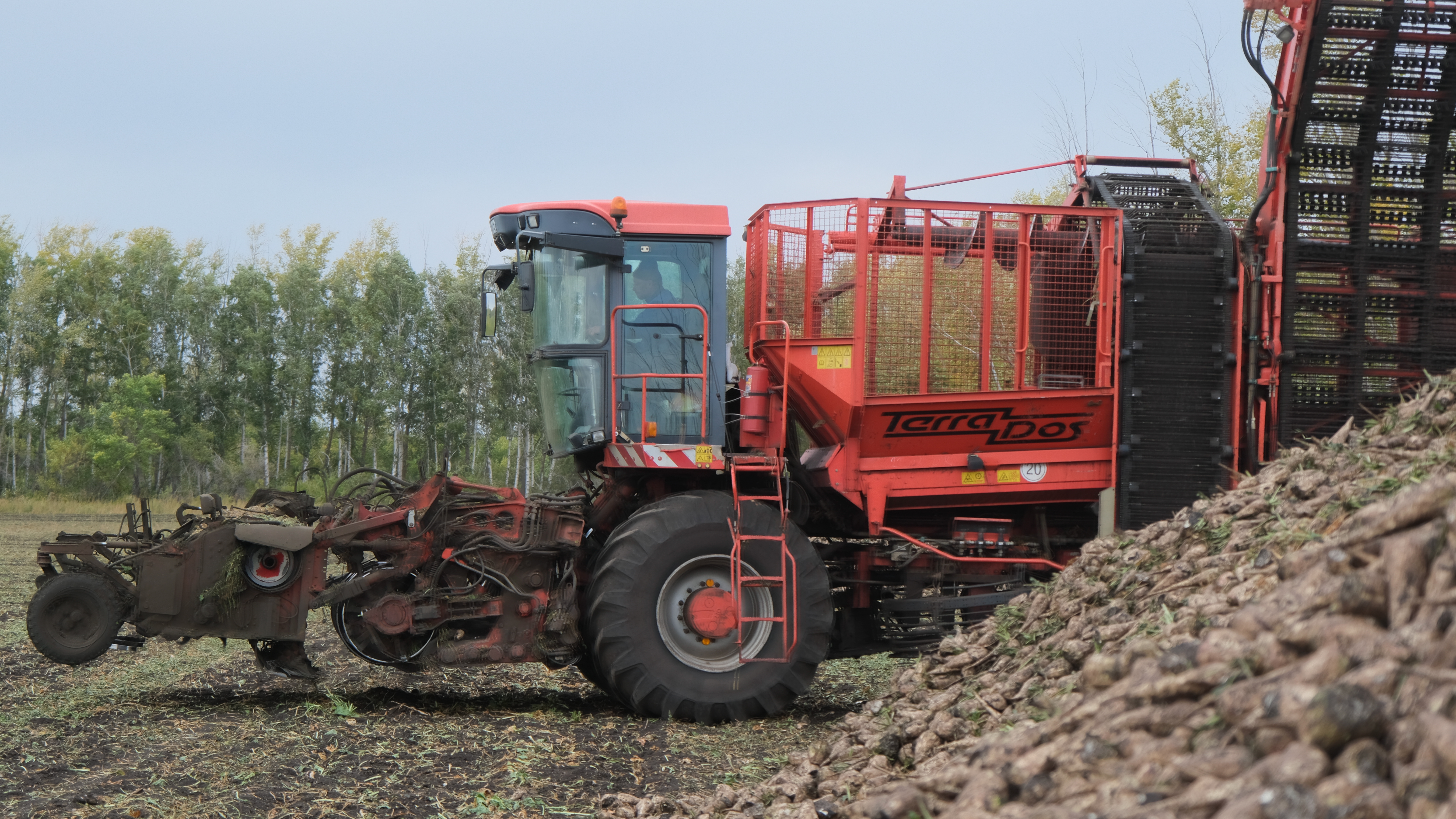 В Башкортостане собрали свыше 1,3 млн тонн сахарной свеклы