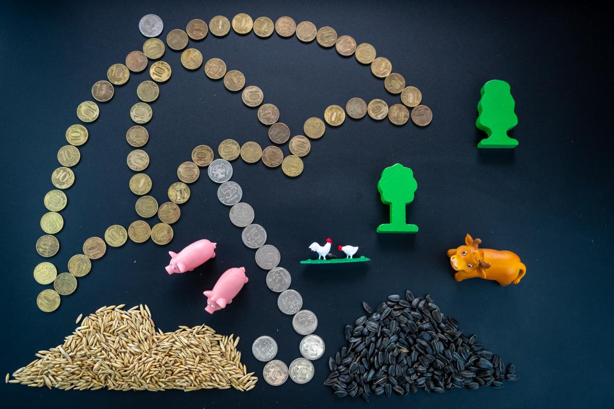 В 2024 году российские аграрии получили более 8,1 млрд руб. страховых выплат — НСА